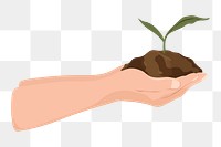 Hand png cupping plant, transparent background