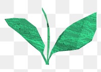 Leaf branch png, paper craft element, transparent background