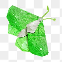 PNG Green butterfly, animal paper craft, transparent background