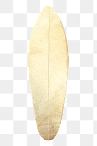 White surfboard png, paper craft element, transparent background