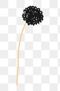 Dandelion flower png, aesthetic illustration, transparent background