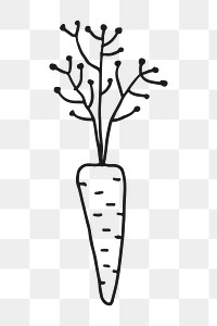 Garden carrot png, aesthetic illustration, transparent background