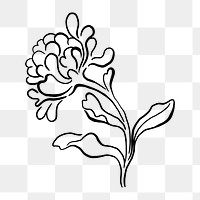 Flower doodle png, aesthetic illustration, transparent background