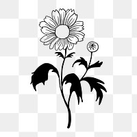 Flower branch png, aesthetic illustration, transparent background