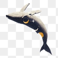 PNG Swimming whale, galaxy aesthetic remix, transparent background