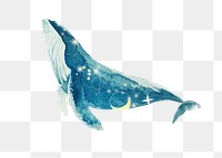 PNG Swimming whale, galaxy aesthetic remix, transparent background