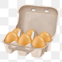 Egg carton png, food illustration, transparent background