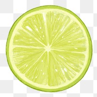 PNG Lime slice, fruit illustration, transparent background