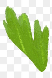 PNG Celery leaf, vegetable illustration, transparent background