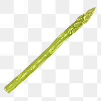 PNG Asparagus, vegetable illustration, transparent background