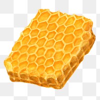 Honeycomb png, food illustration, transparent background