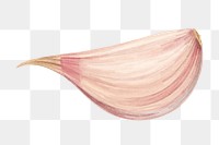 PNG Garlic clove, vegetable illustration, transparent background