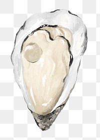 PNG Fresh oyster, seafood illustration, transparent background