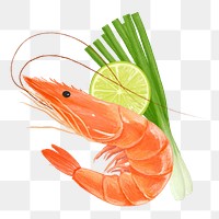 PNG Boiled shrimp, seafood & vegetable illustration, transparent background