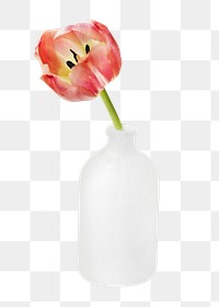 PNG flower vas tulip collage element, transparent background