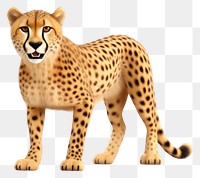 PNG Cheetah wildlife mammal animal. 