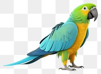 PNG Parrot animal bird white background. AI generated Image by rawpixel.