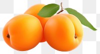 PNG Apricot fruit plant food. 