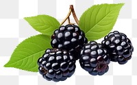 PNG Blackberry blueberry fruit plant. AI generated Image by rawpixel.
