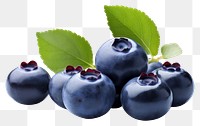 PNG Blueberry fruit plant food. 