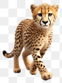 PNG Wildlife cheetah animal mammal. 