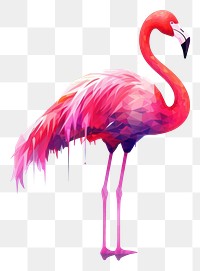 PNG Flamingo animal bird spoonbill. AI generated Image by rawpixel.