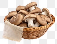 PNG Mushroom basket white background agaricaceae. AI generated Image by rawpixel.