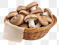 PNG Mushroom basket white background agaricaceae. 