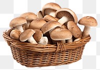 PNG Mushroom basket white background agaricaceae. AI generated Image by rawpixel.