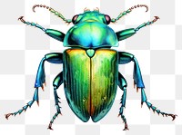 PNG Animal insect white background invertebrate. AI generated Image by rawpixel.