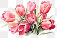 PNG Flower tulip plant rose. AI generated Image by rawpixel.
