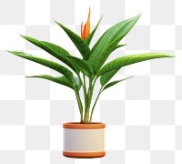 PNG Plant flower leaf  