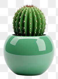 PNG Cactus plant vase  