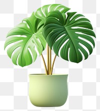 PNG Plant leaf green houseplant. 