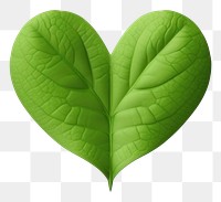 PNG Leaf plant heart  