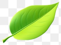 PNG Leaf plant white background freshness. 