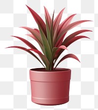 PNG Plant flower white background bromeliaceae. 