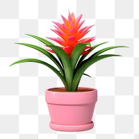 PNG Flower pineapple plant leaf. 