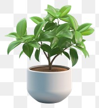 PNG Plant vase leaf white background. AI generated Image by rawpixel.