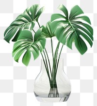 PNG Plant leaf vase houseplant. 