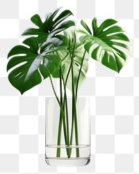 PNG Plant vase leaf flowerpot. 