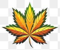 PNG Cannabis plant leaf  