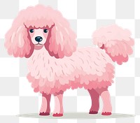 PNG Poodle animal mammal pet. 