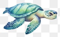 PNG Reptile animal wildlife tortoise. AI generated Image by rawpixel.