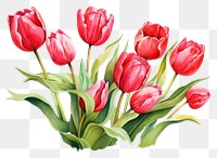 PNG Tulip flower plant inflorescence. AI generated Image by rawpixel.