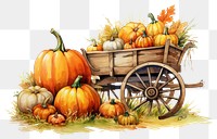 PNG Pumpkin vegetable plant food