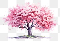 PNG Blossom flower plant tree. AI generated Image by rawpixel.