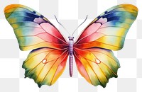 PNG Butterfly animal insect invertebrate. 