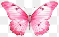 PNG Butterfly animal insect pink. 