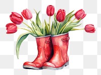 PNG Footwear flower tulip plant. 